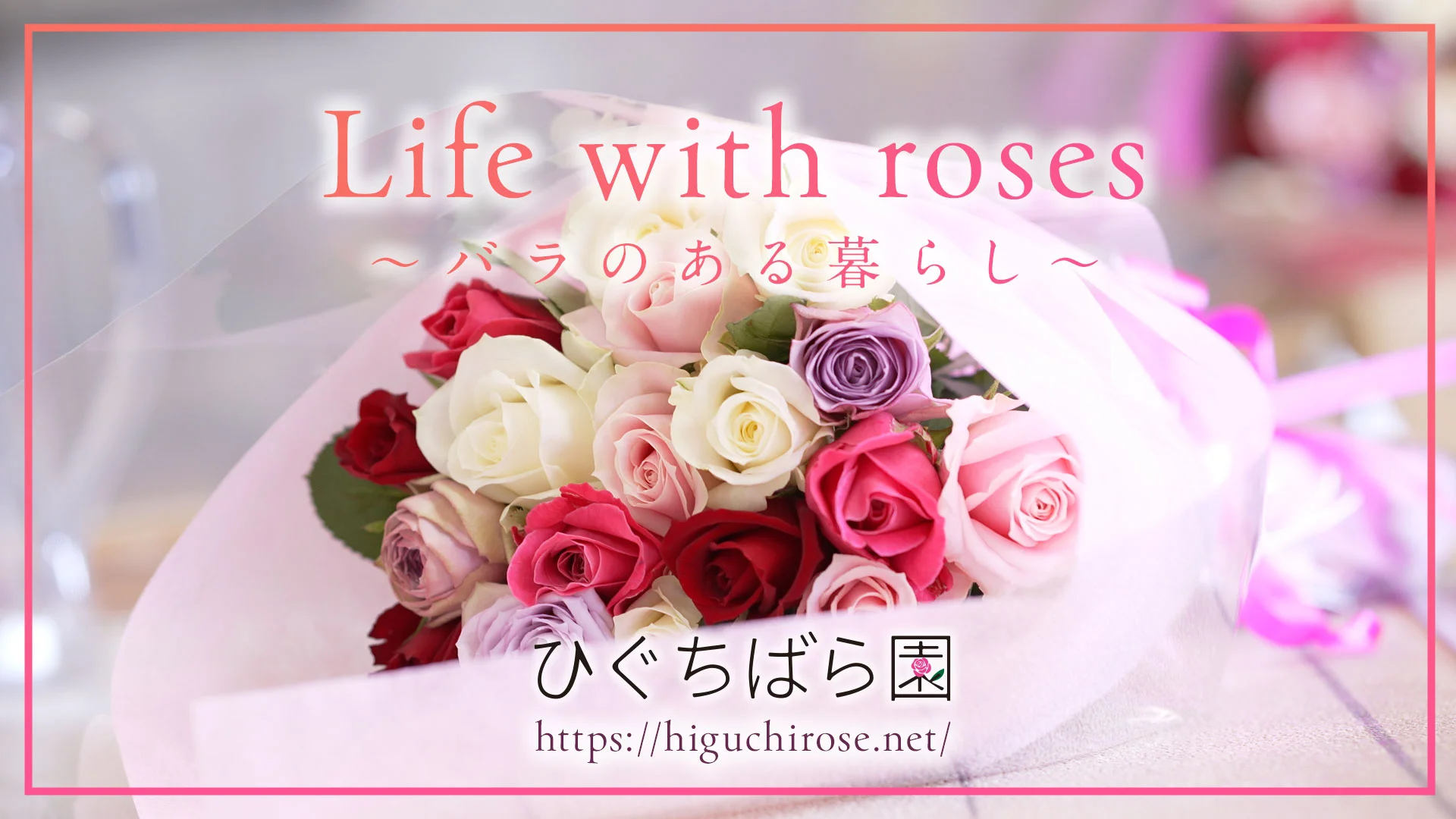 Life with roses