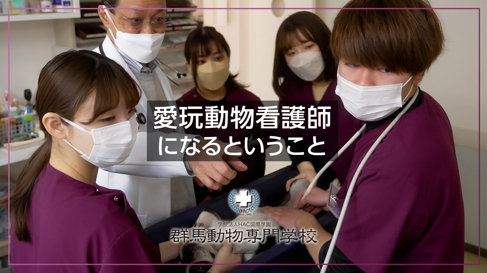愛玩動物看護師になるということ